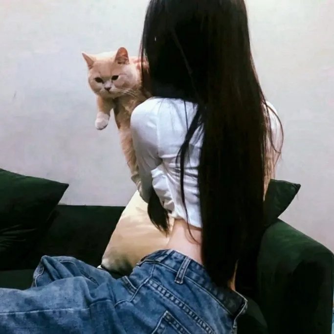 明明可以靠武力，娘子非要靠脑子